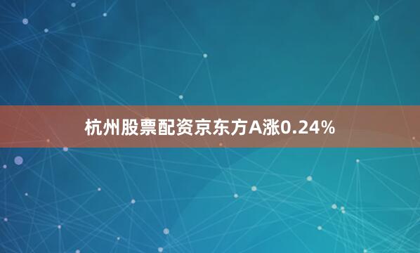 杭州股票配资京东方A涨0.24%